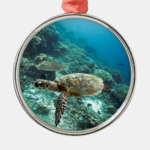 Ornement Métallique Hawksbill sea turtle underwater Raja Ampat