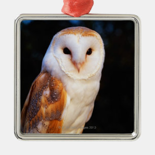Ornement Métallique Hibou de grange