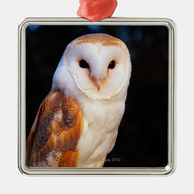 Ornement Métallique Hibou de grange (Devant)