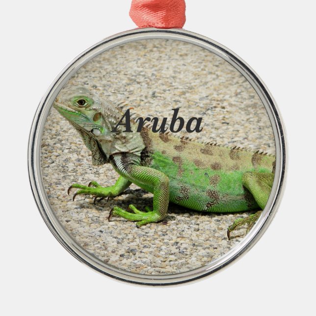 Ornement Métallique Iguane vert d'Aruba (Devant)