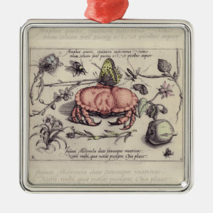 Ornement Métallique Illustration de la fleur d'insectes botaniques du