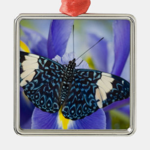 Ornement Métallique Iris Pourpre Papillon Tropical