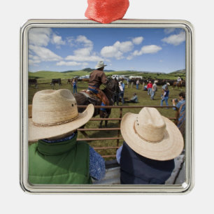 Ornement Métallique Jeunes garçons au ranch Hughes en 2007