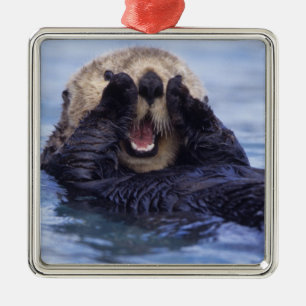 Ornement Métallique Jolie loutre de mer Alaska, États-Unis
