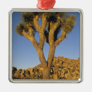 Ornement Métallique Joshua Tree, Yucca brevifolia), et granite