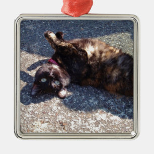 Ornement Métallique Joueur du chat Tortoiseshell