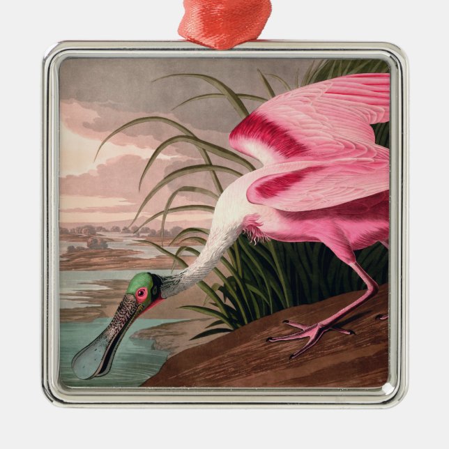 Ornement Métallique La faune des oiseaux d'Audubon de Spoonbill Roseat (Devant)
