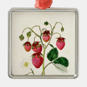 Ornement Métallique La fraise de Roseberry, gravée par Watte