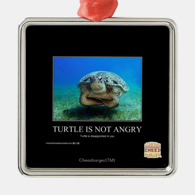 Ornement Métallique La tortue n'est pas en colère (Devant)