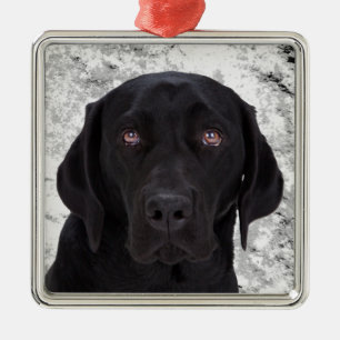 Ornement Métallique Labrador retriever noir