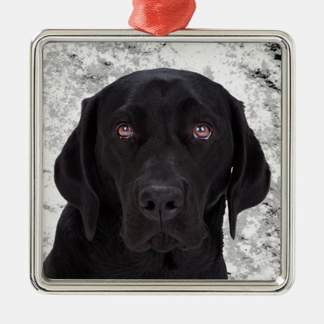 Ornement Métallique Labrador retriever noir (Devant)
