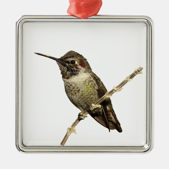 Ornement Métallique Le colibri d'Anna (Devant)