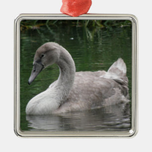 Ornement Métallique Le cygne gracieux sur l'ornement de l'eau