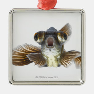 Ornement Métallique Le noir amarrent le poisson rouge (l'auratus de