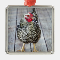 Le poulet sur la plate-forme en bois, argentent