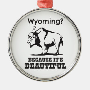 Ornement Métallique Le Wyoming ? Parce que c'est beau