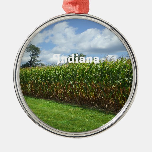 Ornement Métallique L'Indiana (Devant)