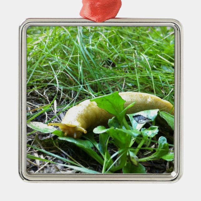 Ornement Métallique Lingot de banane (Devant)