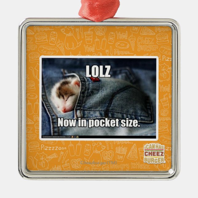 Ornement Métallique LOLZ maintenant dans de poche (Devant)