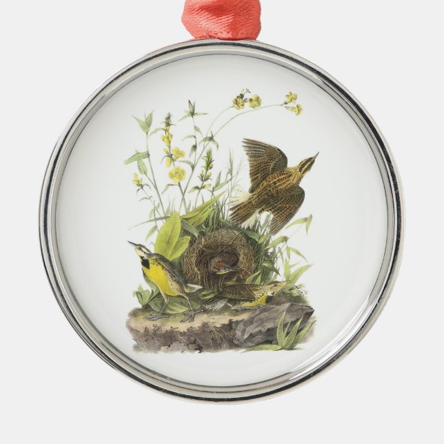 Ornement Métallique Meadowlark oriental par Audubon (Devant)