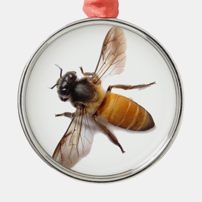 Ornement Métallique Miel Bee (Devant)