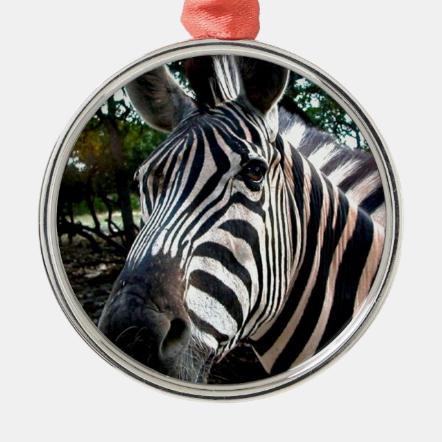 Ornement Métallique Mon ami trippé (Devant)