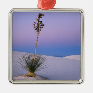 ORNEMENT MÉTALLIQUE MONUMENT NATIONAL DE WHITE SANDS, NOUVEAU-MEXIQUE.