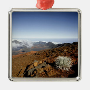 Ornement Métallique Mot d'argent sur la rime du cratère de Haleakala d