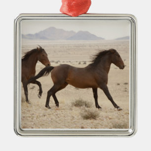 Ornement Métallique Namibie, Aus. Chevaux sauvages courant sur le Nami