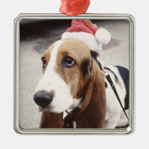 Ornement Métallique Noël Pet Photo Fêtes Noël
