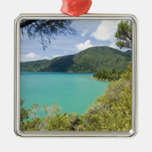 Ornement Métallique Nouvelle-Zélande, île du Sud, Marlborough Sounds.