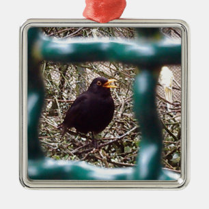 Ornement Métallique Oiseau noir derrière les barreaux, Animal, Oiseaux