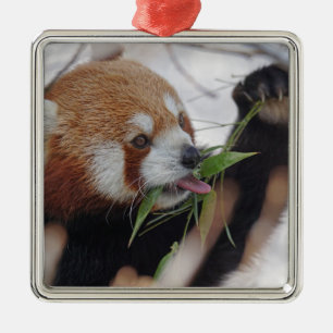 Ornement Métallique panda rouge poster de animal mignon