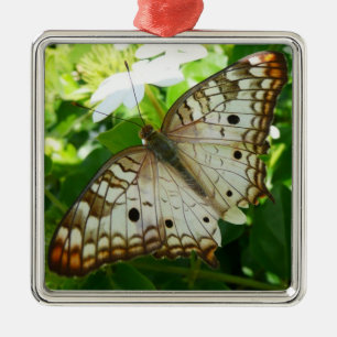 Ornement Métallique Papillon sur Jasmin Photographie de la nature trop