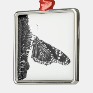 Ornement Métallique papillon timide blacq
