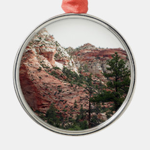 Ornement Métallique Parc national de Zion, Utah, Etats-Unis 14