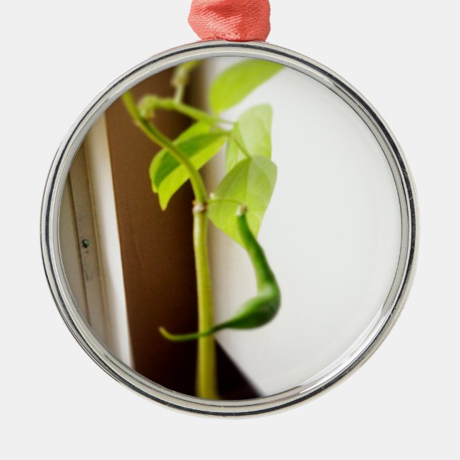 Ornement Métallique Petite cosse d'haricot vert (Devant)