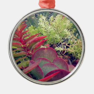 Ornement Métallique Plantes succulents