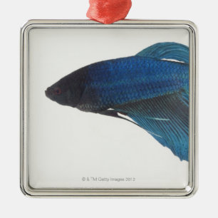 Ornement Métallique Poissons de Betta ou poissons de combat siamois