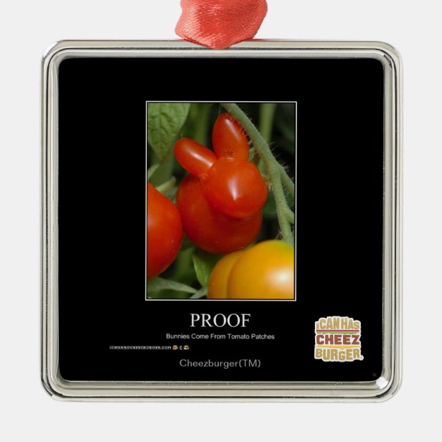 Ornement Métallique Preuve (Devant)