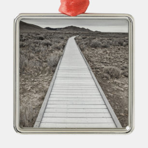 Ornement Métallique Promenade par le désert