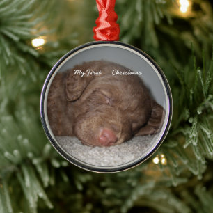 Ornement Métallique Puppy My First Christmas Photo Ornamy