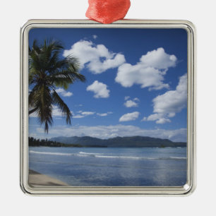 Ornement Métallique République dominicaine, péninsule de Samana, Las 4