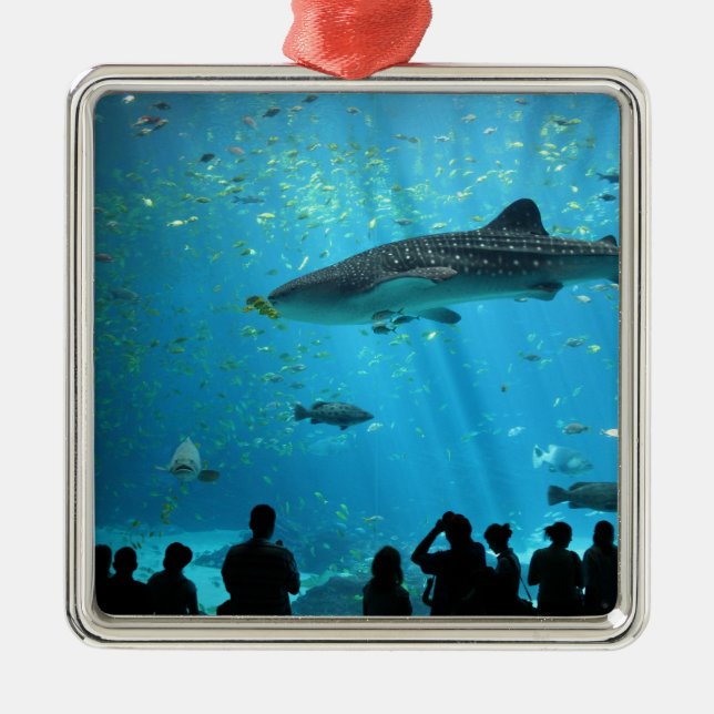 Ornement Métallique Requin de baleine masculin (Devant)