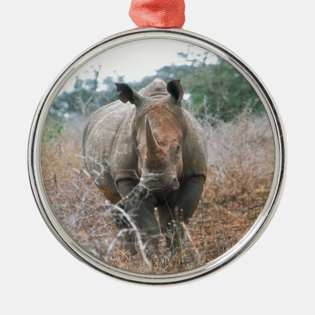 Ornement Métallique Rhinocéros de remplissage (Devant)