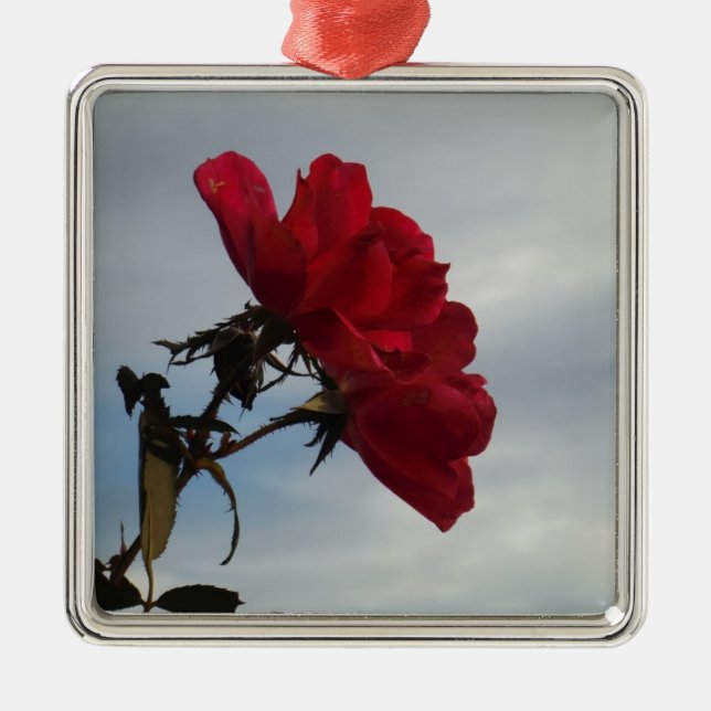 Ornement Métallique Roses rouges contre un ciel bleu vif (Devant)