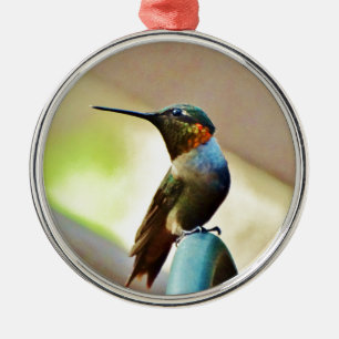 Ornement Métallique Ruby perché et petit colibri vert
