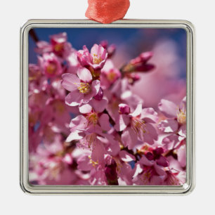 Ornement Métallique Sakura Cherry Blossoms embrassés par Sunlight