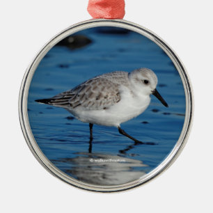 Ornement Métallique Sanderling sur la plage