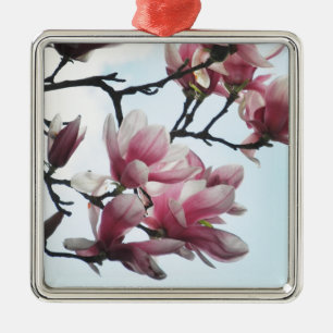 Ornement Métallique Saucer Magnolia Tulip Fleurs d'arbre Photo